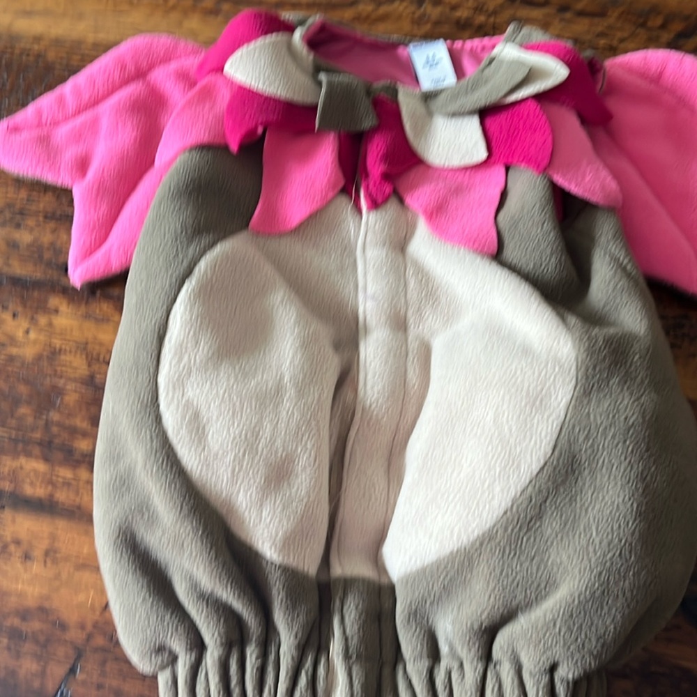 Dragon costume 0-6 Month